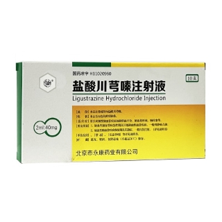 盐酸川芎嗪注射液